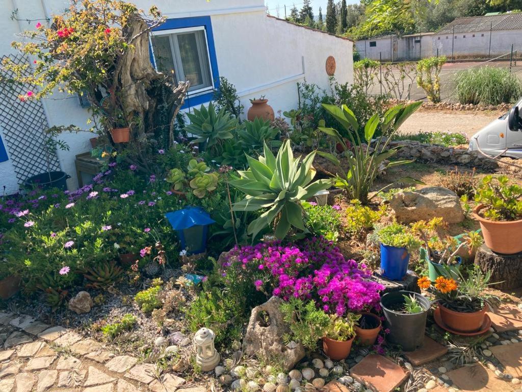 Willa Casa Aleg Albufeira Zewnętrze zdjęcie